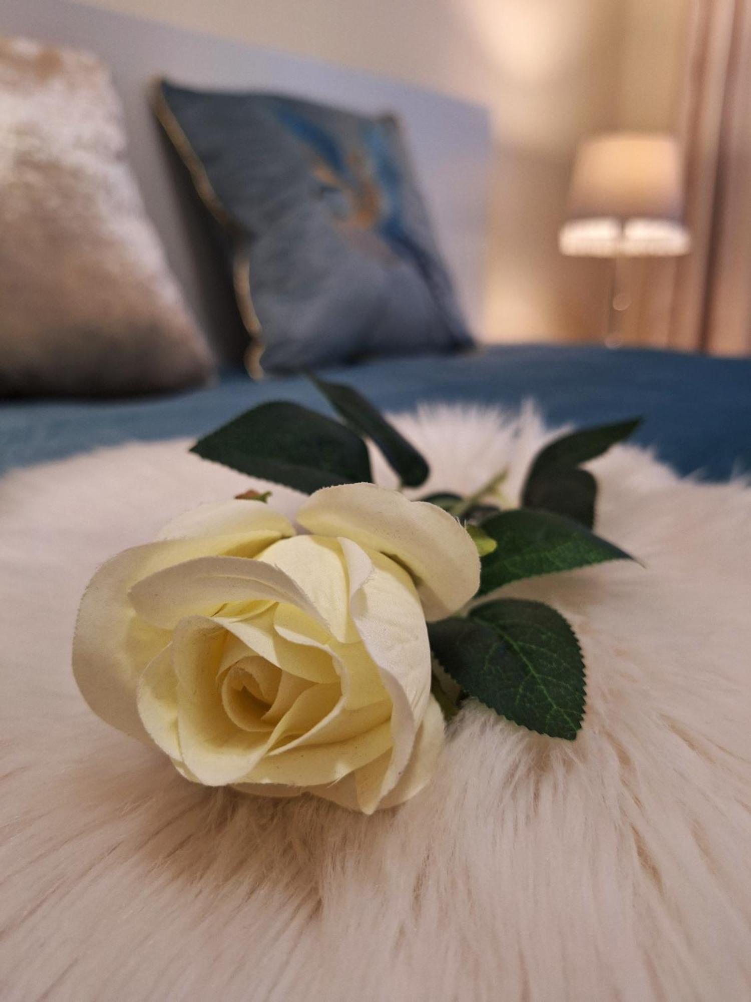 אגר Albina Apartman מראה חיצוני תמונה